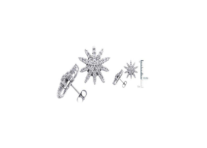 Rhodium Plated | Fashion Earrings
